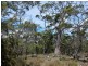 Lilla Vill Tasman Highway, Bicheno TAS 7215