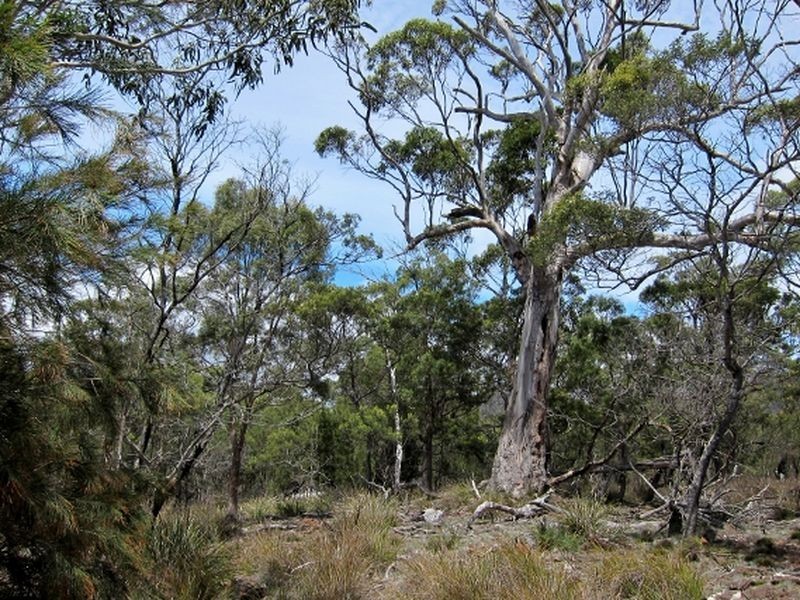 Lilla Vill Tasman Highway, Bicheno TAS 7215