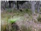 Lilla Vill Tasman Highway, Bicheno TAS 7215