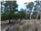 Lilla Vill Tasman Highway, Bicheno TAS 7215