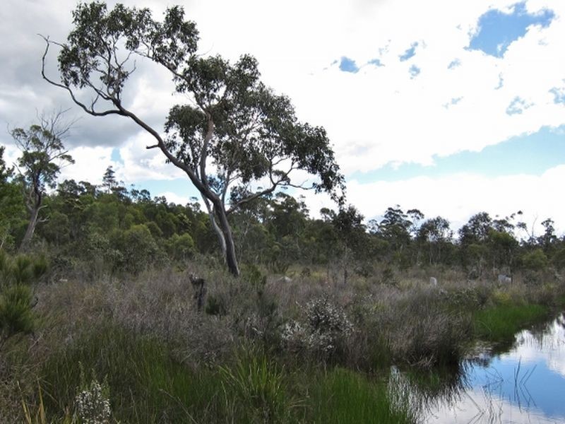 Lilla Vill Tasman Highway, Bicheno TAS 7215