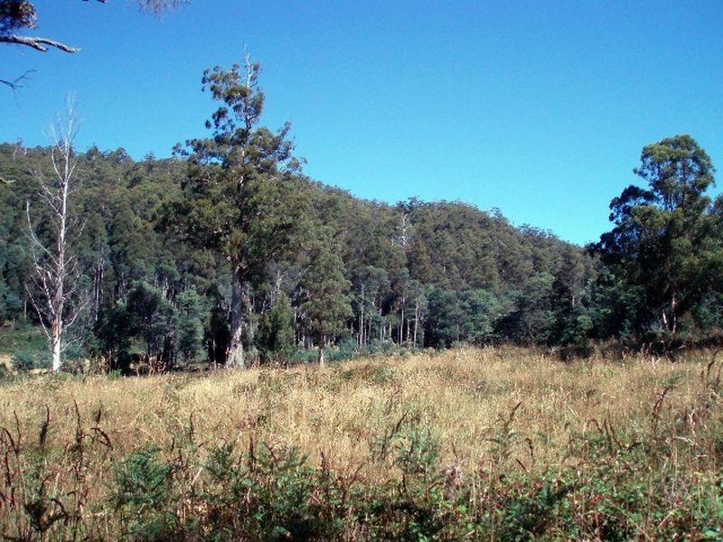 279 Mayberry Road, Mayberry TAS 7304