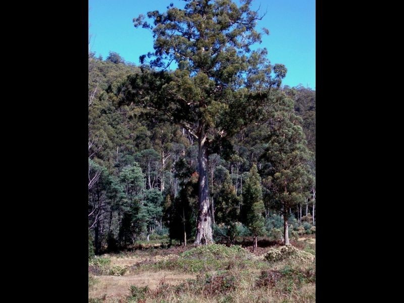 279 Mayberry Road, Mayberry TAS 7304