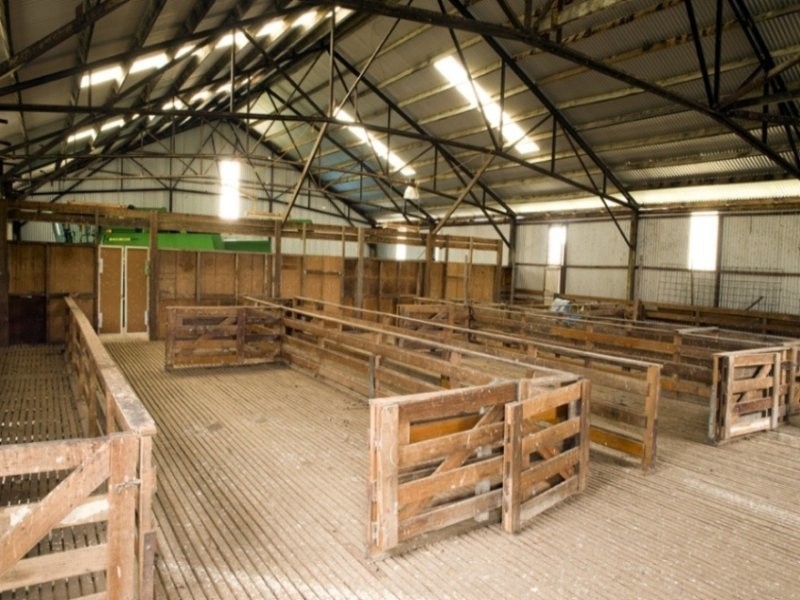 Powranna Road, Cressy TAS 7302