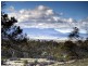 Powranna Road, Cressy TAS 7302