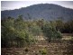 Powranna Road, Cressy TAS 7302