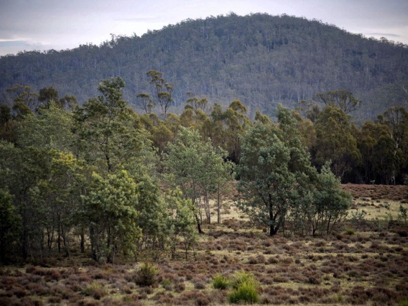 Powranna Road, Cressy TAS 7302