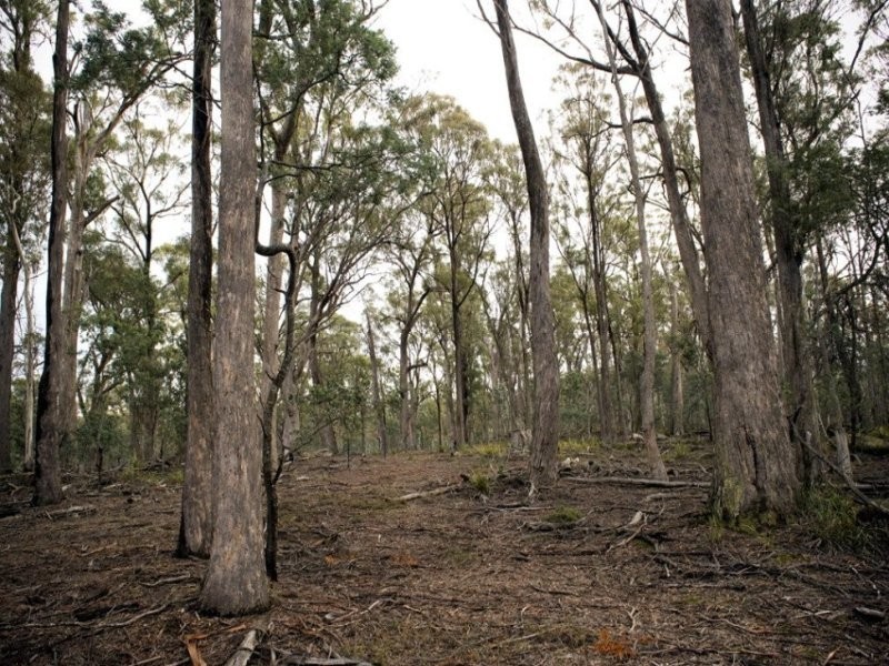 Powranna Road, Cressy TAS 7302