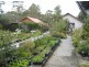 65 Hall Street, Ridgeway TAS 7054