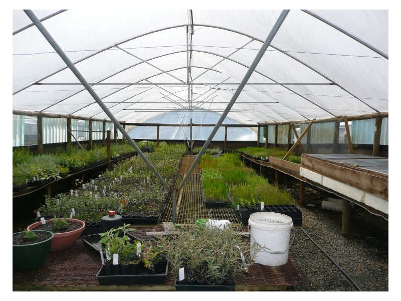 5598 Tasman Highway, Buckland TAS 7190