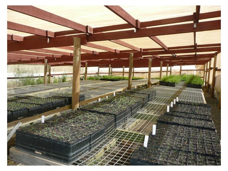 5598 Tasman Highway, Buckland TAS 7190