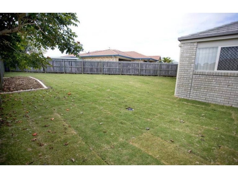 6 Saligna Court, Ormeau QLD 4208
