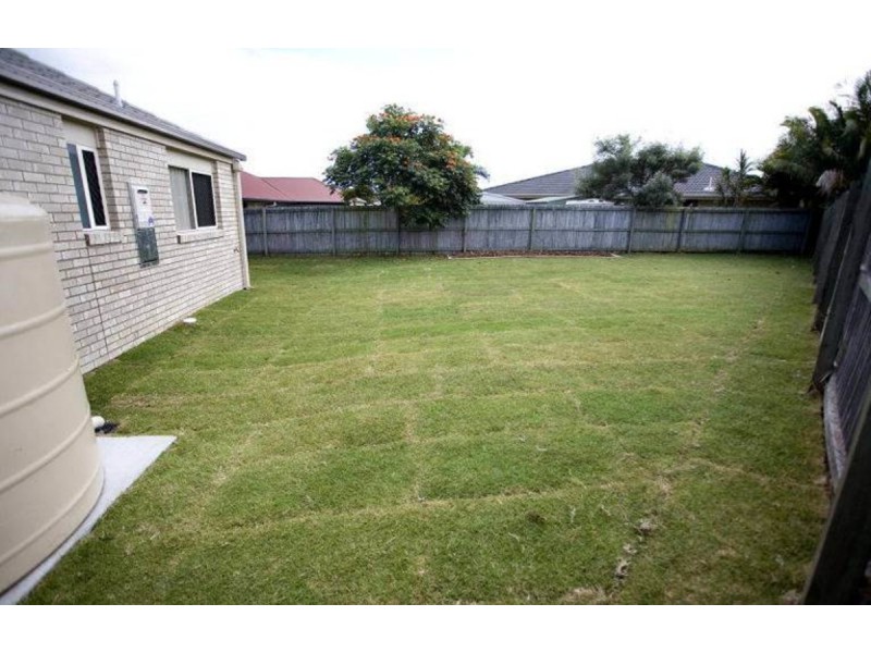 6 Saligna Court, Ormeau QLD 4208