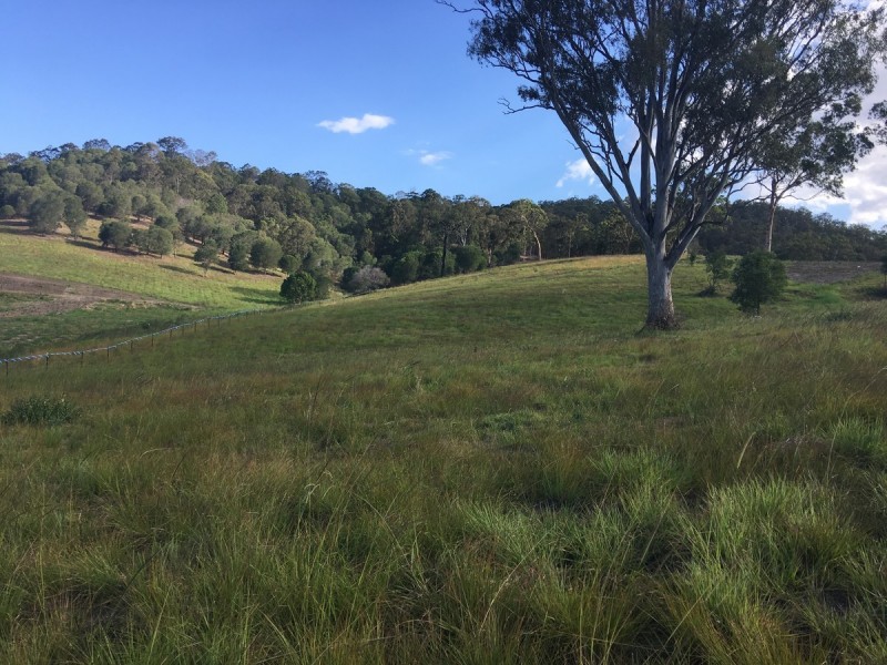 Lot 31/ Country View Street, Kingsholme QLD 4208
