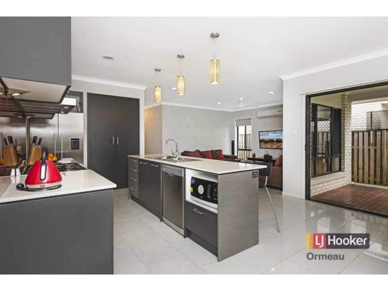 22 River Run Circuit, Ormeau Hills QLD 4208