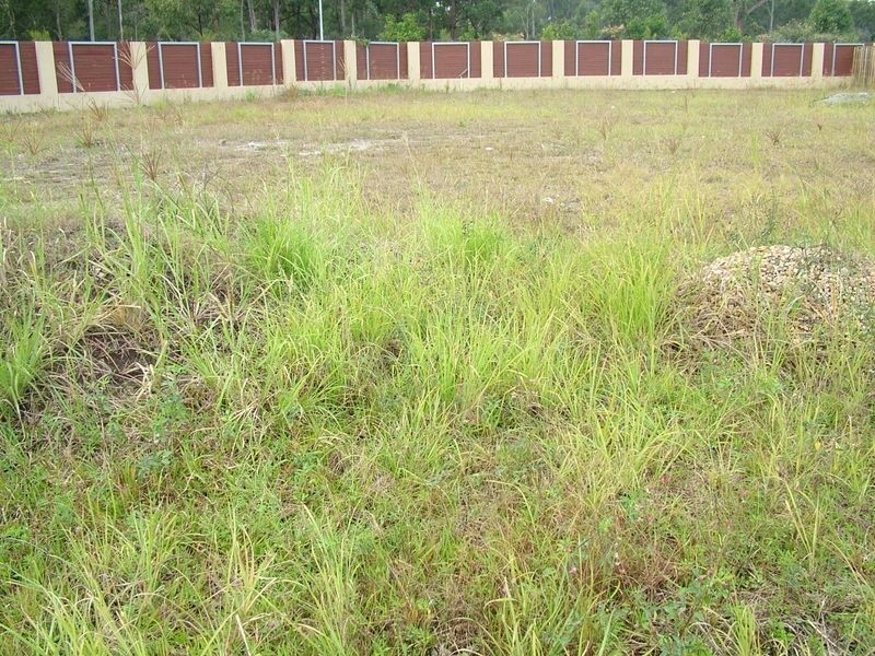 1 Millet Place, Coomera QLD 4209