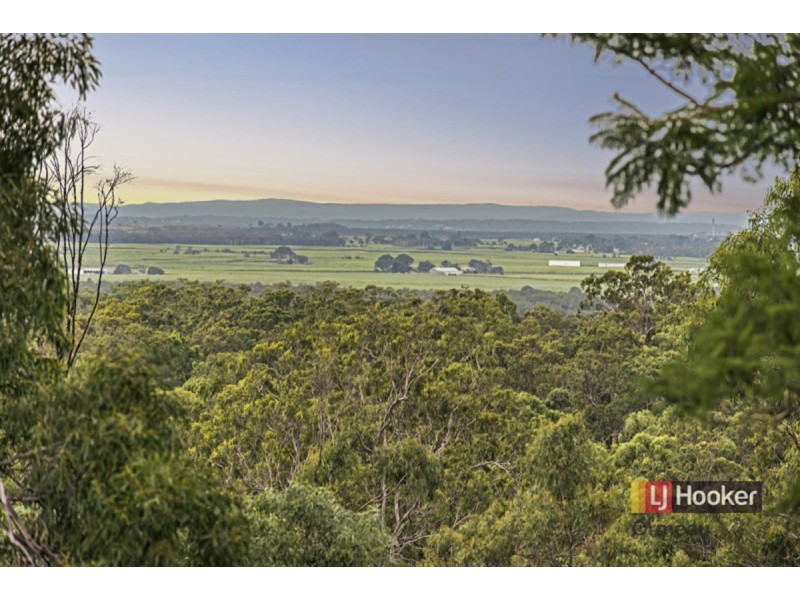 19 Lumeah Avenue, Pimpama QLD 4209