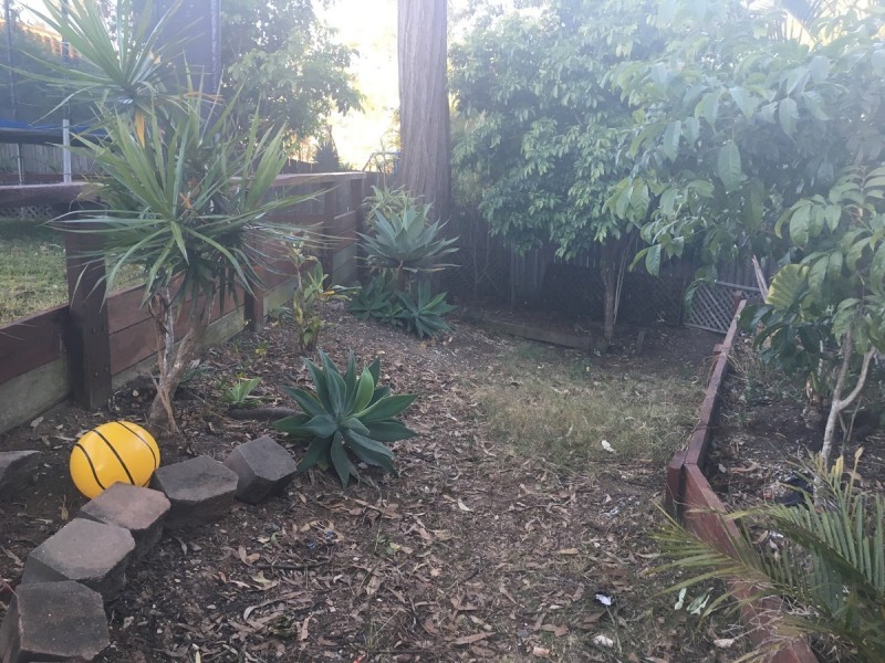 13 Freesia Court, Ormeau QLD 4208