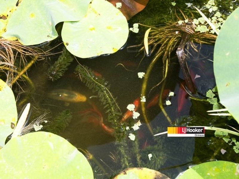 Logan Village QLD 4207