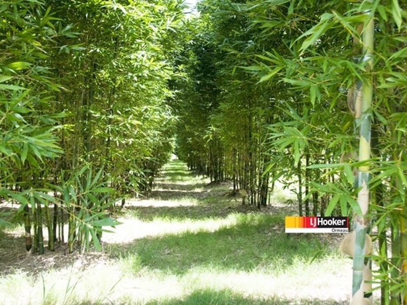 Logan Village QLD 4207