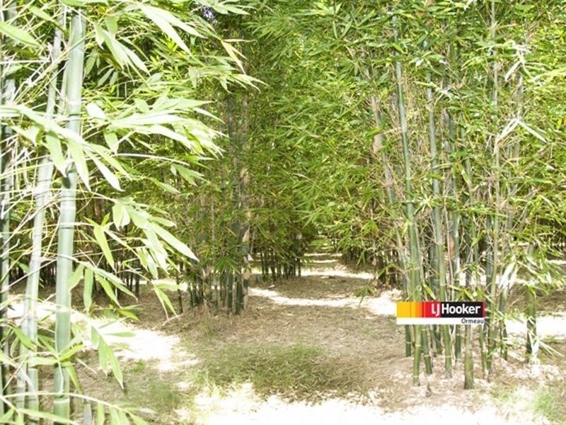 Logan Village QLD 4207