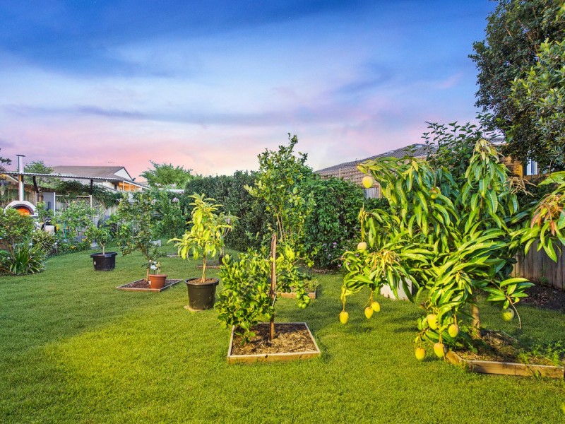 24 Bella Boulevard, Pimpama QLD 4209