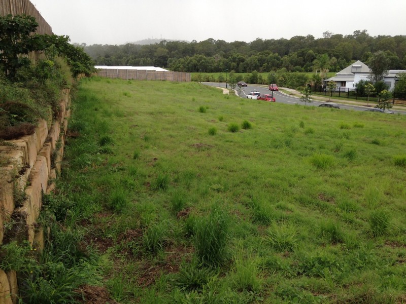 129 Reedmans Road, Ormeau QLD 4208