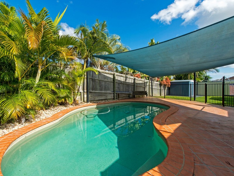 7 Caffrum Court, Ormeau QLD 4208