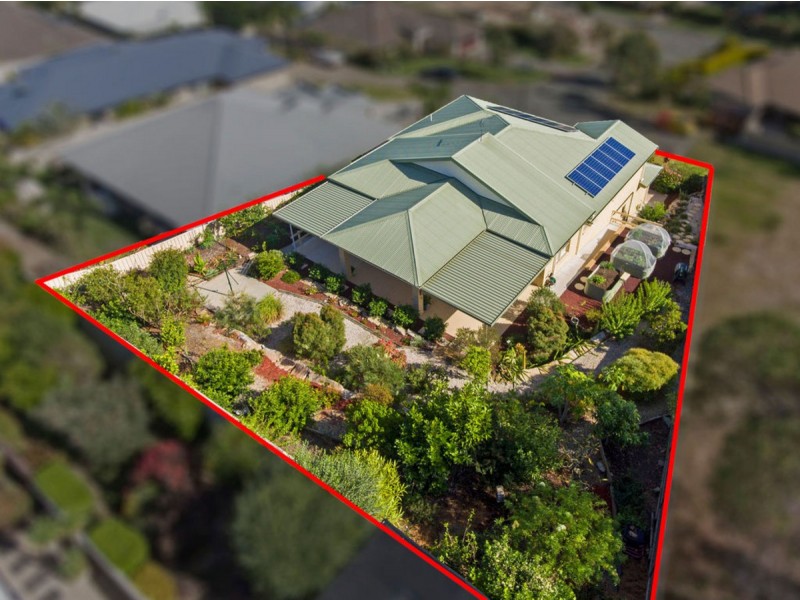 6 Byram Court, Ormeau Hills QLD 4208