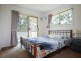 199-249 Chardon Bridge Road, Cedar Creek QLD 4207