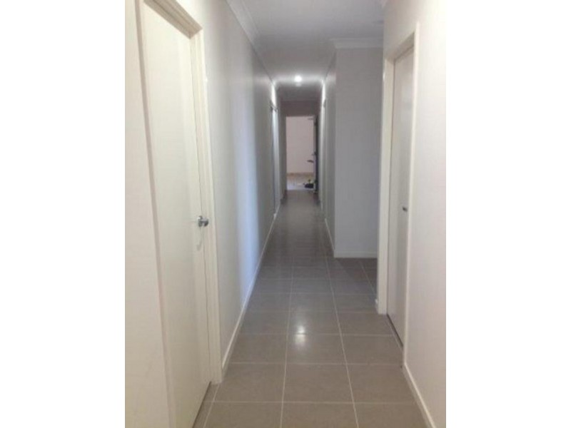 28 Swan Road, Pimpama QLD 4209