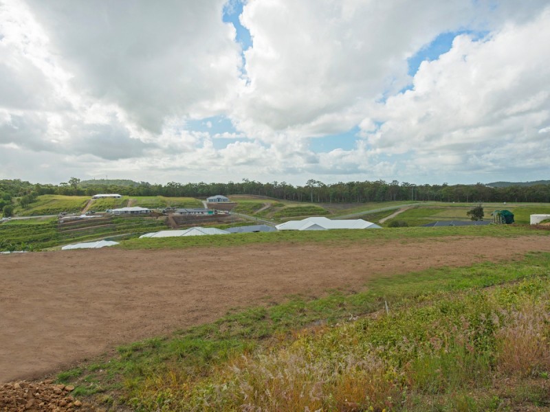 69 Montego Hills Drive, Kingsholme QLD 4208