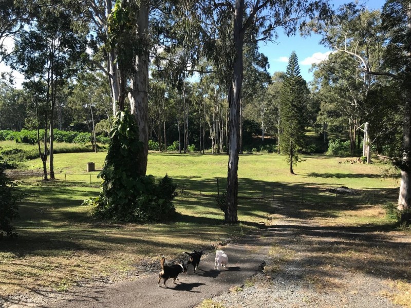 8 Hewett Court, Bannockburn QLD 4207
