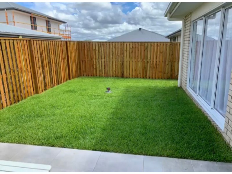 20 Sundown Circuit, Pimpama QLD 4209