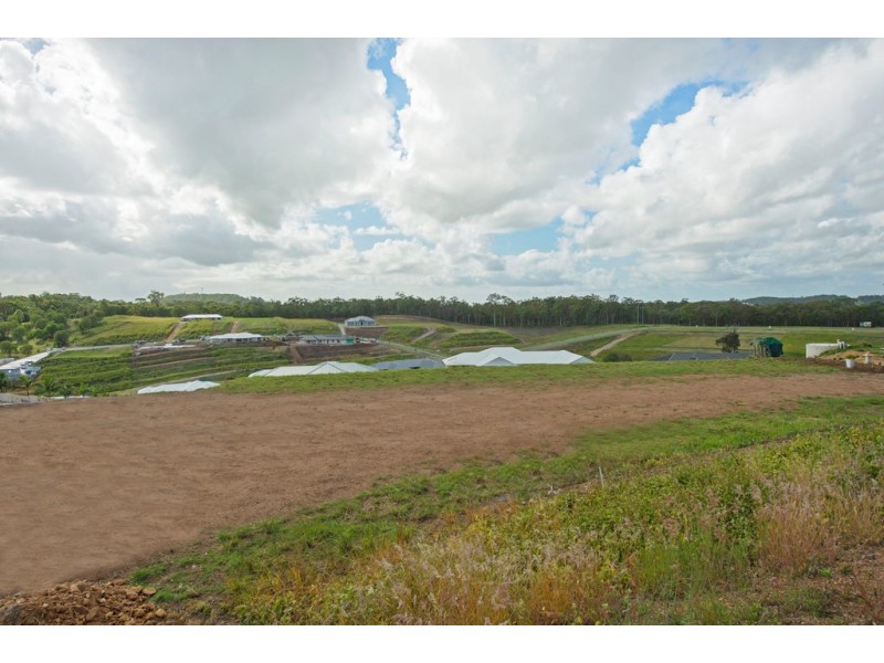 Lot 157/ Upper Ormeau Road, Kingsholme QLD 4208