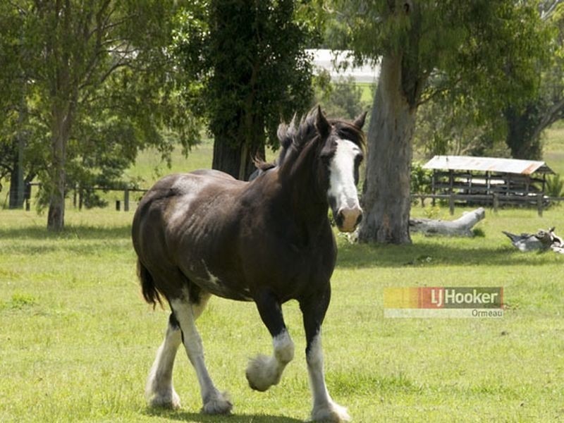 186 Halls Rd, Luscombe QLD 4207