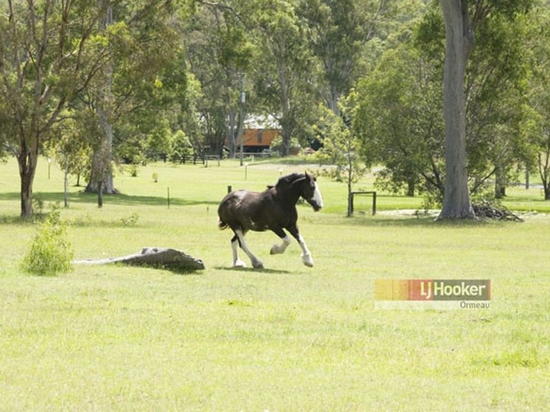 186 Halls Rd, Luscombe QLD 4207