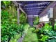 11 Terania Avenue, Ormeau Hills QLD 4208