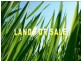 Lot 319 Mullins St, Ormeau QLD 4208