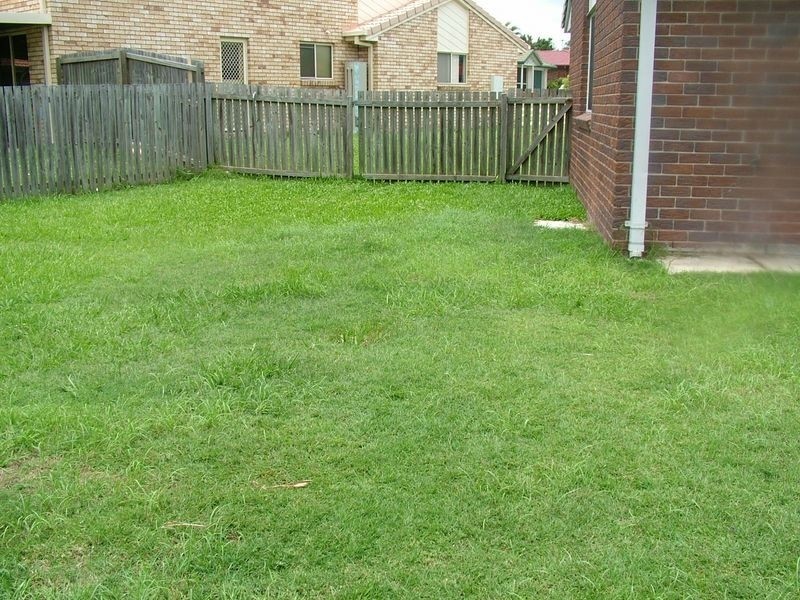 16 Rosella Crt, Ormeau QLD 4208