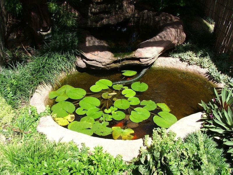 74 Peachey Rd, Ormeau QLD 4208