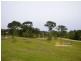 37 Lynbrook Cres, Ormeau QLD 4208