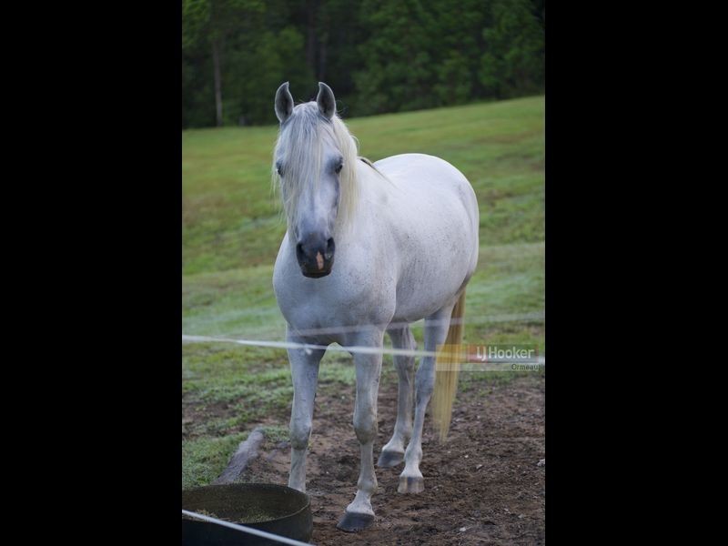 190 Halls Rd, Luscombe QLD 4207