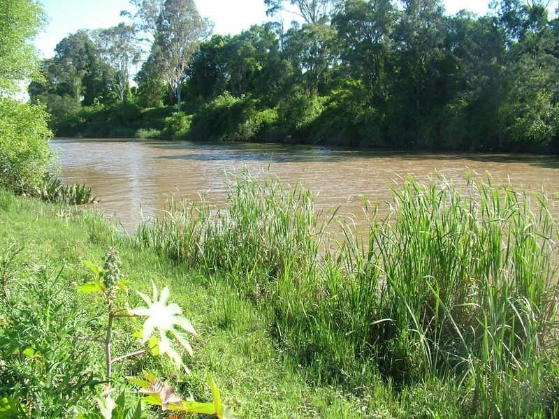 Buccan QLD 4207