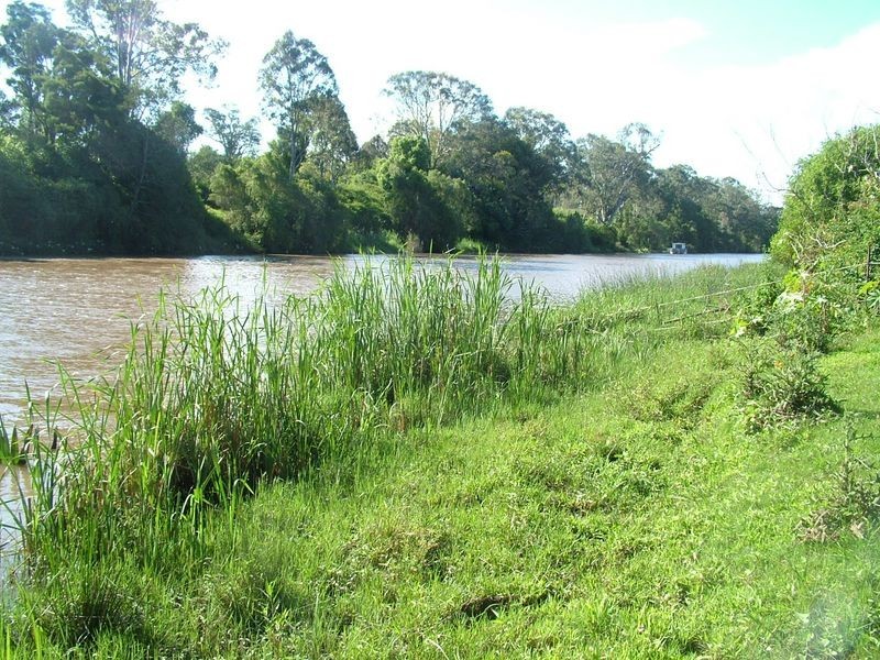 Buccan QLD 4207