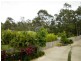 3/150 Pascoe Rd, Ormeau QLD 4208