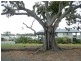 Ormeau QLD 4208