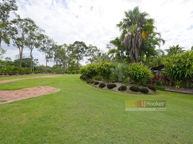 13 Healy Court, Ormeau QLD 4208