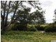 161 Pagan Road, Yatala QLD 4207