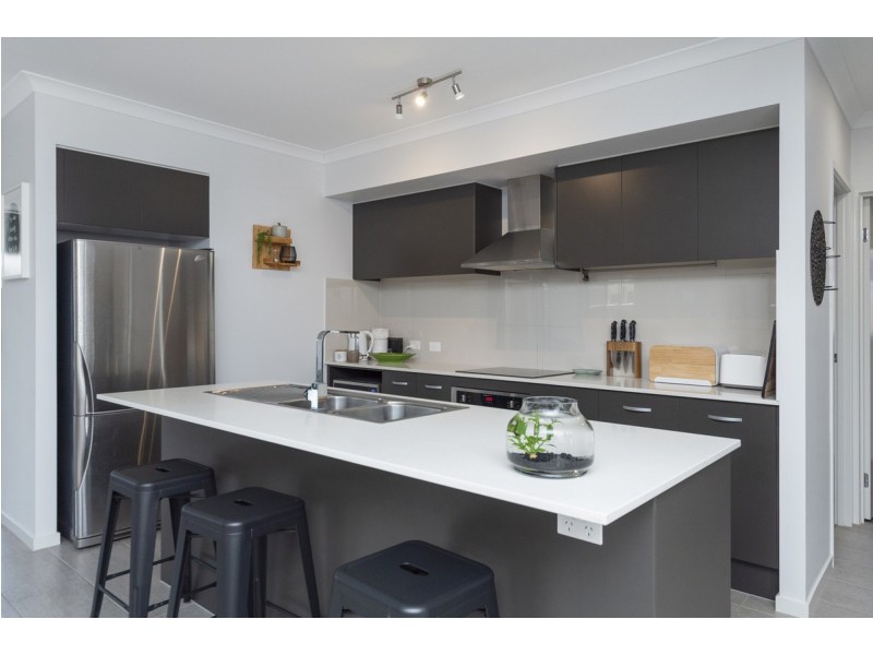 11 Bredbo Street, Ormeau Hills QLD 4208